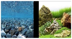 Marina Clear View 3D Fonds Rio / Jardin.Japones