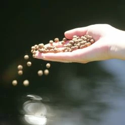 JBL Propond All Seasons S -Pompe À Eau Boutique 82824 61fd112458d88