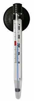 Dupla Thermomètre Pour Aquarium