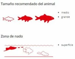 Sera Cichlid Filet Xl -Pompe À Eau Boutique cichlid red nature xl 5