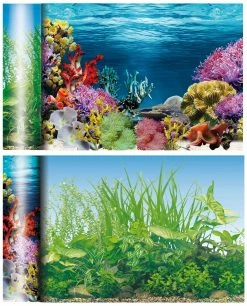 Ica Fonds D'?tang Des Cara?bes