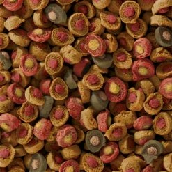 Sera Koi All Seasons Probiotic -Pompe À Eau Boutique koi all seasons probiotic 4