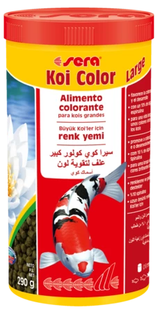 Sera Koi Couleur Large