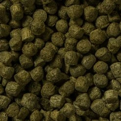 Sera Koi Couleur Large -Pompe À Eau Boutique koi color large 4