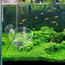 Initially Nouveau Fish Tank Feeder Aquarium Crevettes Clear Glass Feeding Bowl Clear Dish Tray Round Container Dish 1 Pièce -Pompe À Eau Boutique 177472448 max