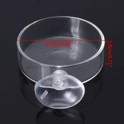 Initially Nouveau Fish Tank Feeder Aquarium Crevettes Clear Glass Feeding Bowl Clear Dish Tray Round Container Dish 1 Pièce -Pompe À Eau Boutique 177472454 max