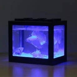 Cumdel Bureau Mini Fish Tank USB Led Fish Box Aquarium Blocs Empilés Pour Le Décor De Bureau à Domicile 7 Cumdel Bureau Mini Fish Tank USB Led Fish Box Aquarium Blocs Empilés Pour Le Décor De Bureau à Domicile -Pompe À Eau Boutique 267264707 max