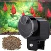 Hggqvvs Digital Automatic Fish Feeder Aquarium Tank Electronic Fish Food Feeder Timer