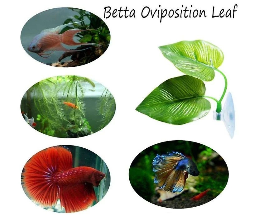 2pcs Fish Leaf Pad - Améliore La Santé De Betta En Simulant La Conception De L'habitat Naturel à Deux Feuilles, Une Grande Et Une Petite 3 2pcs Fish Leaf Pad - Améliore La Santé De Betta En Simulant La Conception De L'habitat Naturel à Deux Feuilles, Une Grande Et Une Petite – Image 3