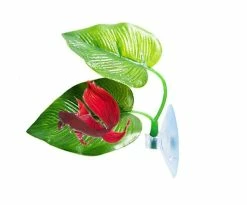 2pcs Fish Leaf Pad - Améliore La Santé De Betta En Simulant La Conception De L'habitat Naturel à Deux Feuilles, Une Grande Et Une Petite 7 2pcs Fish Leaf Pad - Améliore La Santé De Betta En Simulant La Conception De L'habitat Naturel à Deux Feuilles, Une Grande Et Une Petite -Pompe À Eau Boutique 325035161 max
