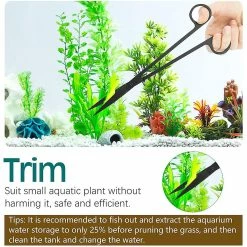 Gisneze Kit D’outils D’aquarium, 5 En 1 Acier Inoxydable Long Fish Tank Scraper Kits D’aquarium, Pince à épiler De Plantation Aquatique Ciseaux Spatule Outil De Nettoyage Paysager -Pompe À Eau Boutique 337047072 max