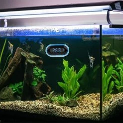 Unbranded Led Fish Tank Thermomètre électronique Outil De Mesure étanche 8 Unbranded Led Fish Tank Thermomètre électronique Outil De Mesure étanche -Pompe À Eau Boutique 435078863 max