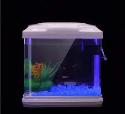 Yaqinuo Fish Tank Rocks Glow Blue / Glow Dans Les Cailloux Sombres Pour Le Jardin / Aquarium / Aquarium -Pompe À Eau Boutique 543132294 max