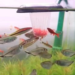 SANNE Fish Tank Red Worm Cup Red Worm Feeder Entonnoir Cône Avec Ventouse -Pompe À Eau Boutique 556187503 max