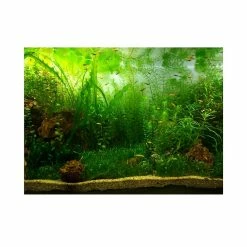 Gegong Water Grass Style Aquarium Fish Tank Fond Poster Pvc Adhésif Décor Papier (76 * 30cm)