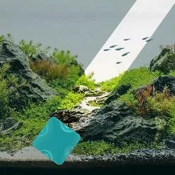 Unbranded Fish Tank Algae Magnet Outil De Nettoyage Nettoyeur Flottant Brosse D’épuration 9 Unbranded Fish Tank Algae Magnet Outil De Nettoyage Nettoyeur Flottant Brosse D’épuration -Pompe À Eau Boutique 578280546 max