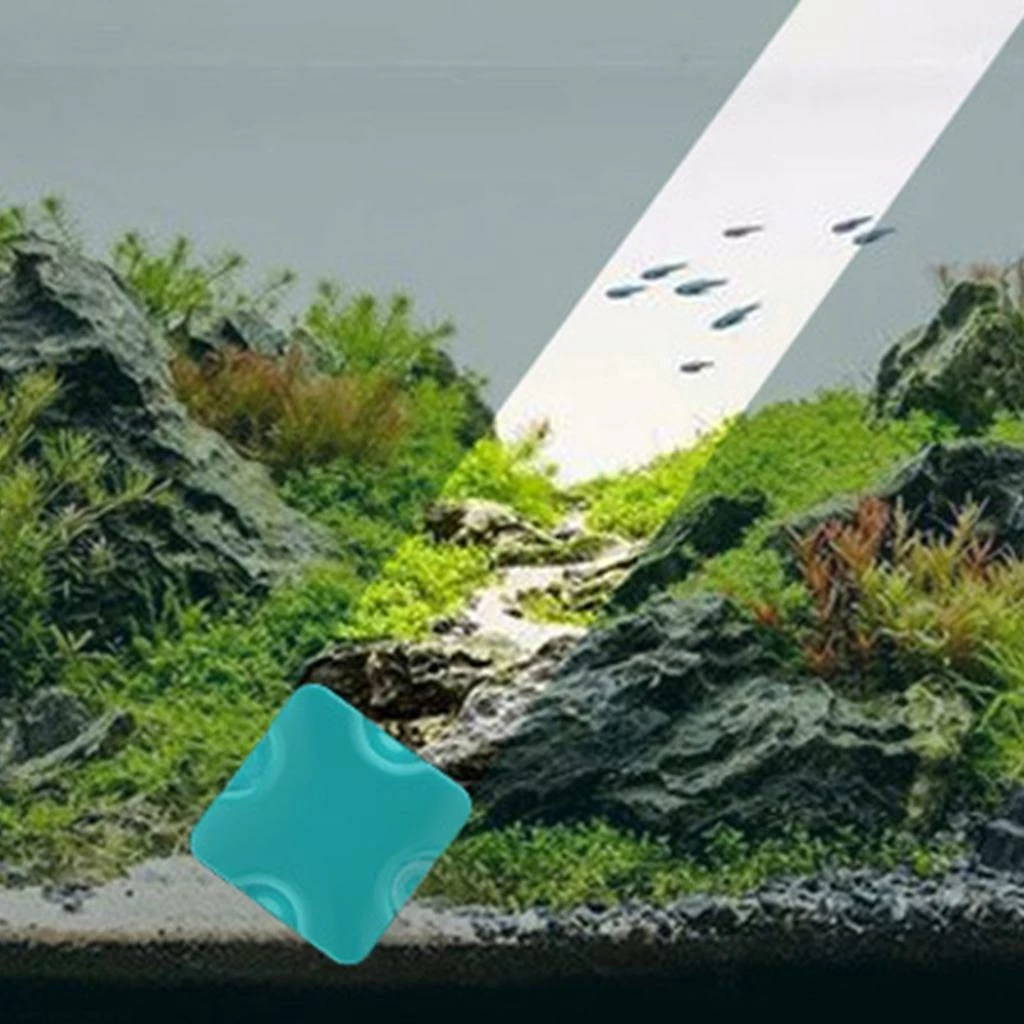 Unbranded Fish Tank Algae Magnet Outil De Nettoyage Nettoyeur Flottant Brosse D’épuration 5 Unbranded Fish Tank Algae Magnet Outil De Nettoyage Nettoyeur Flottant Brosse D’épuration – Image 5