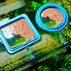 Unbranded 4pcs Aquarium Fish Feeder Feeder Anneau Carré Rond Flottant Cercle Alimentaire -Pompe À Eau Boutique 582634839 max