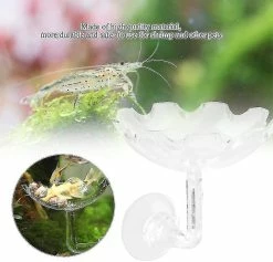Unbranded Aquarium Fish Tank Crevettes Alimentation Nourriture Bol à Vaisselle Acrylique Eau Nourriture Plat Mangeoire Plateau -Pompe À Eau Boutique 609249182 max