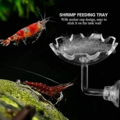 Unbranded Aquarium Fish Tank Crevettes Alimentation Nourriture Bol à Vaisselle Acrylique Eau Nourriture Plat Mangeoire Plateau -Pompe À Eau Boutique 609249210 max