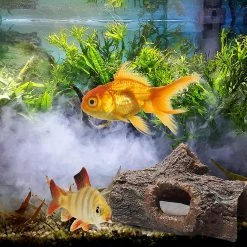 Unbranded Fish Tank Aménagement Paysager Esquiver Trou Aquarium Décoration Creux Bois Créatif Drôle Maison Anniversaire Cadeau Résine Artisanat -Pompe À Eau Boutique 631457294 max