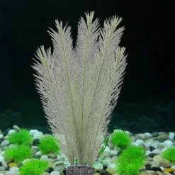 Nufasion Décorations D’aquarium Fish Tank Plantes D’eau Verte Artificielles En Tissus De Soie Plastique, Non Toxi 7 Nufasion Décorations D’aquarium Fish Tank Plantes D’eau Verte Artificielles En Tissus De Soie Plastique, Non Toxi -Pompe À Eau Boutique 637611187 max