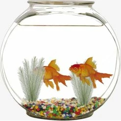 Nufasion Décorations D’aquarium Fish Tank Plantes D’eau Verte Artificielles En Tissus De Soie Plastique, Non Toxi 8 Nufasion Décorations D’aquarium Fish Tank Plantes D’eau Verte Artificielles En Tissus De Soie Plastique, Non Toxi -Pompe À Eau Boutique 637611334 max