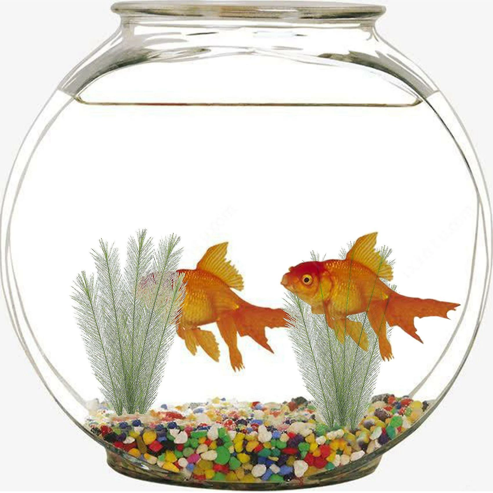 Nufasion Décorations D’aquarium Fish Tank Plantes D’eau Verte Artificielles En Tissus De Soie Plastique, Non Toxi 4 Nufasion Décorations D’aquarium Fish Tank Plantes D’eau Verte Artificielles En Tissus De Soie Plastique, Non Toxi – Image 4