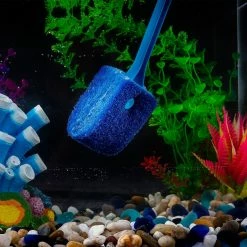Unbranded Aquarium Algae Scraper Double Side Sponge Brush Cleaner Long Handle Fish Tank Scrubber Pour Aquariums En Verre, 15,4 Pouces 9 Unbranded Aquarium Algae Scraper Double Side Sponge Brush Cleaner Long Handle Fish Tank Scrubber Pour Aquariums En Verre, 15,4 Pouces -Pompe À Eau Boutique 662424007 max