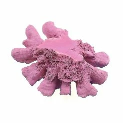 Unbranded Résine Fish Tank Aménagement Paysager Corail Aquarium Décoration Mignon Corail Pierre Aménagement Paysager Décoratif Aquarium -Pompe À Eau Boutique 718745784 max