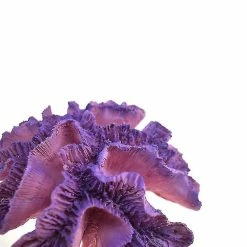 Unbranded Résine Fish Tank Aménagement Paysager Corail Aquarium Décoration Mignon Corail Pierre Aménagement Paysager Décoratif Aquarium -Pompe À Eau Boutique 718745883 max