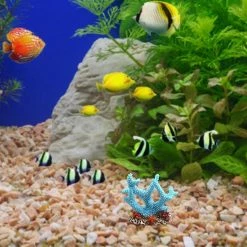Initially Résine Corail Décor Aquarium Corail Aménagement Paysager Décor Mini Fish Tank Sous-marin Plantes Marines Décorations Aquarium Paysage 8 Initially Résine Corail Décor Aquarium Corail Aménagement Paysager Décor Mini Fish Tank Sous-marin Plantes Marines Décorations Aquarium Paysage -Pompe À Eau Boutique 745435404 max