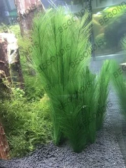 Linkrunning 3pcs Aquarium Décorations Fish Tank 30cm / 11 « Plantes D’eau Verte Artificielles -Pompe À Eau Boutique 769155538 max