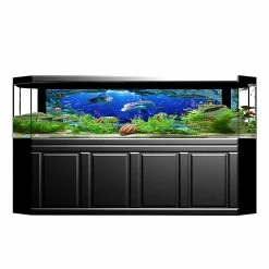 Gegong Poster De Fond Décoratif Sea World Peintures Pvc Autocollant Paysage Pour Aquarium Fish Tank61x30cm -Pompe À Eau Boutique 775316180 max