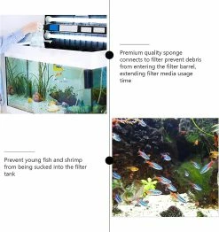 Unbranded Pre-Filter Foam Sponge Roll Aquarium Filter Intake Cover Replacement For Aquarium Fish Tank Black 8x4x4cm Black Strainer Size 2 9 Unbranded Pre-Filter Foam Sponge Roll Aquarium Filter Intake Cover Replacement For Aquarium Fish Tank Black 8x4x4cm Black Strainer Size 2 -Pompe À Eau Boutique 783776541 max