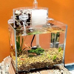 Unbranded Desktop Aquarium Small Betta Fish Pour Réservoir Avec Pompe Filtre Coton Pour Tropical -Pompe À Eau Boutique 792054652 max
