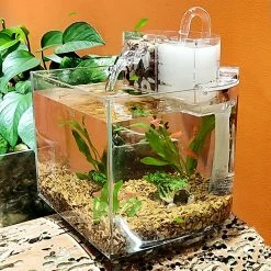 Unbranded Desktop Aquarium Small Betta Fish Pour Réservoir Avec Pompe Filtre Coton Pour Tropical -Pompe À Eau Boutique 792054684 max
