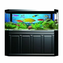 Gegong Arrière-plan Affiche Peinture Décorative Pvc Autocollant Image Paysage Pour Aquarium Fish Tank61x41cm 7 Gegong Arrière-plan Affiche Peinture Décorative Pvc Autocollant Image Paysage Pour Aquarium Fish Tank61x41cm -Pompe À Eau Boutique 796906628 max